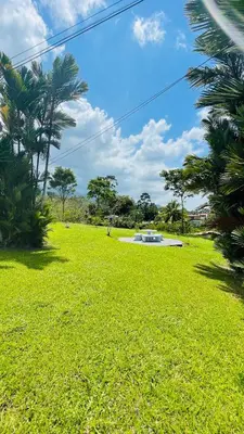 a field of green grass with a pond in the distance at Casa Alexa Venecia in Venecia