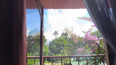 an open window with a view of a garden at La Martha in Sarapiquí