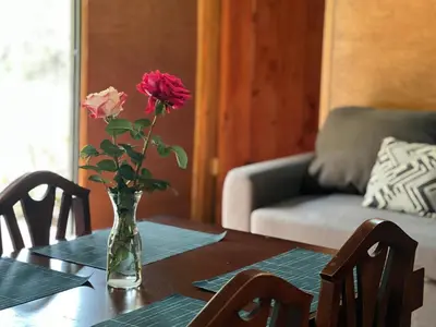 a vase with flowers on a table in a living room at Casa D'Pa in San Gerardo de Dota