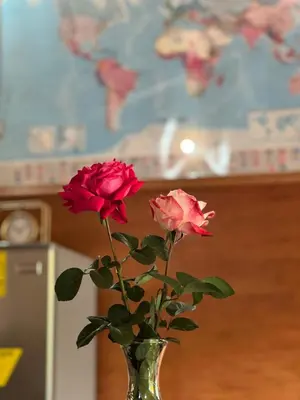 two roses in a vase on a table at Casa D'Pa in San Gerardo de Dota