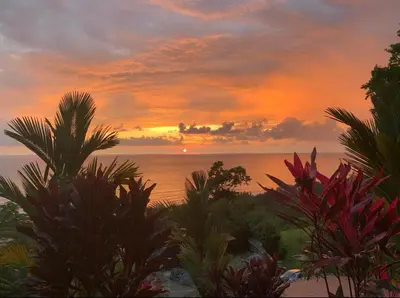 a sunset over the ocean with palm trees at Villa Del Mar 1 Spectacular ocean view! in Dominical