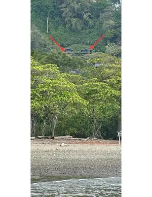 two red birds flying over a beach with trees at Villa Del Mar 1 Spectacular ocean view! in Dominical