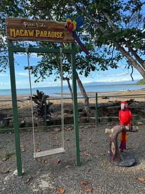 a sign with a red bird sitting on a swing at Macaw Paradise in Jacó