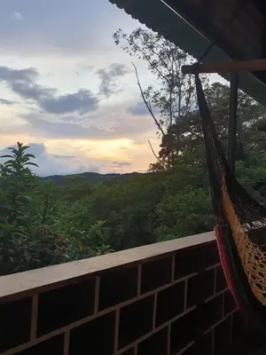 a hammock on a porch with a view of the jungle at El Chagüite monteverde #2 in Monteverde Costa Rica
