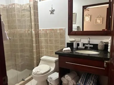 a bathroom with a toilet and a sink and a shower at Villa Ela en Playa Herradura in Herradura