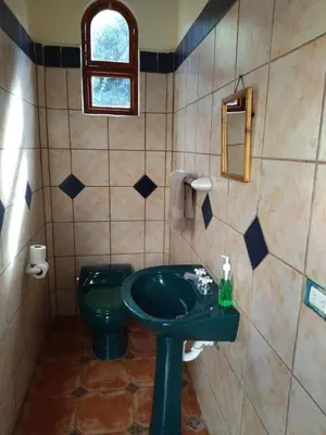 a bathroom with a green sink and a toilet at casa-patriana in San Ramón