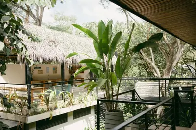 a house with a thatch roof and a plant on a balcony at Mar Botánico - Avellanas Beach Hotel in Playa Avellana