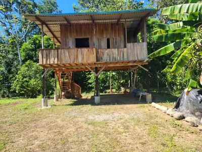 a tree house in the middle of a field at Paso-lapas in Matapalo