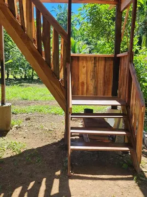 a wooden stair case in a park with trees at Paso-lapas in Matapalo