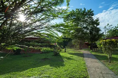 a path in a yard with trees and the sun at Natural Lodge Caño Negro in Caño Negro