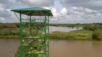a green tower in the middle of a river at Natural Lodge Caño Negro in Caño Negro