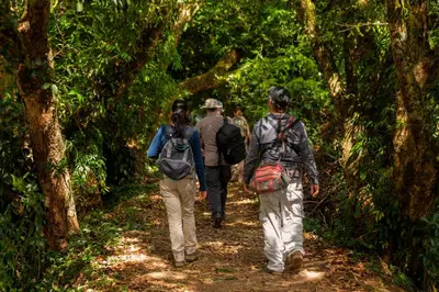 a group of people walking down a forest trail at Natural Lodge Caño Negro in Caño Negro