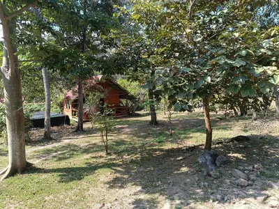 a garden with a cabin in the background with trees at Cabaña Rincón de Curubandé in Liberia