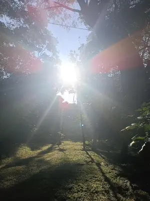 a sun shining through the trees in a field at Cabaña Rincón de Curubandé in Liberia
