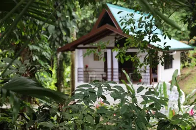 a small house in the middle of a forest at ECOTICA Boutique Hotel & Spa in Manuel Antonio