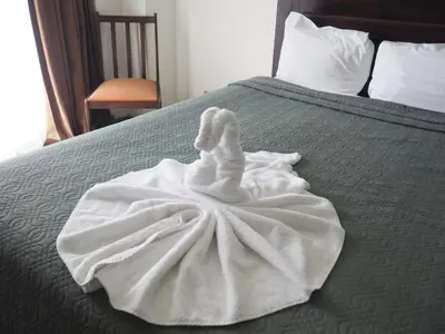 a white towel sitting on top of a bed at Nuevo Maragato Hotel & Hostel in San José