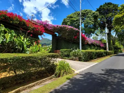 a road with flowers on the side of a building at Finca Paraiso Mountain Retreat near San Jose Airport in Birrí