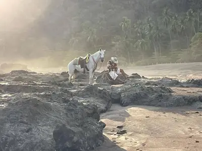 a white horse standing on rocks on the beach at Rooftop balcony oceanfront PH condo with King beds in Jacó