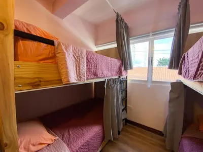 two bunk beds in a room with a window at Casa Pandora Hostel Women Only in San José
