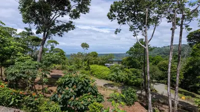a view of a garden with trees and bushes at Casa Kabuae in Portalón