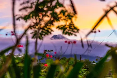 a view of a mountain from a field with flowers at La Fortuna Lodge by Treebu Hotels in Fortuna