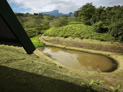 a small pond in the middle of a field at Quinta Túru in Colonia