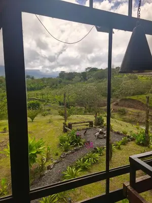 a view from a window of a garden at Quinta Túru in Colonia