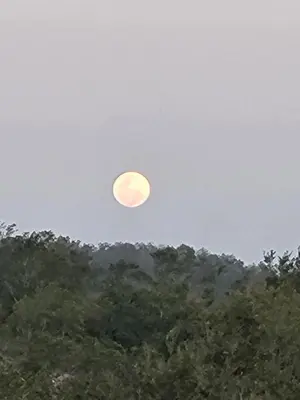 a full moon in the sky over some trees at Hacienda en Los Volcanes in Hacienda Guayabo