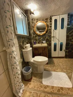 a bathroom with a toilet and a mirror at Ficus Wonders Bus in Monteverde Costa Rica