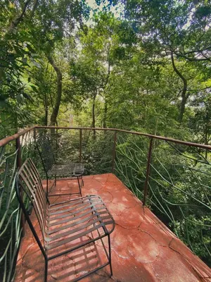 a bench sitting on top of a balcony with trees at Ficus Wonders Bus in Monteverde Costa Rica