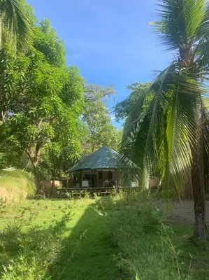 a house with a palm tree in front of it at Safari tent with private pool close to Manuel Antonio Glamping 1 in Matapalo