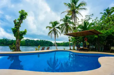 a swimming pool with a view of a river and palm trees at Manatus Hotel in Tortuguero