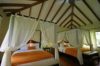two beds in a room with white curtains at Manatus Hotel in Tortuguero
