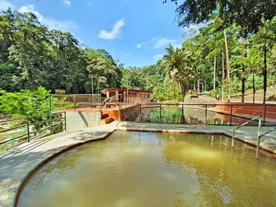 a large pool of water in a park at Recreo Verde Hot Springs & Spa in Marsella