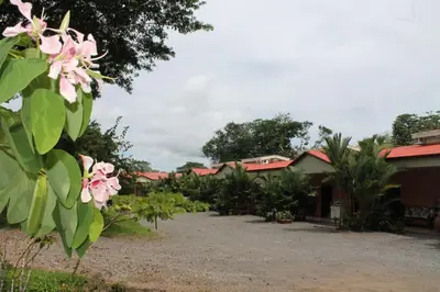 a row of houses with pink flowers in the foreground at Hotel Vista al Tortuguero in Cariari