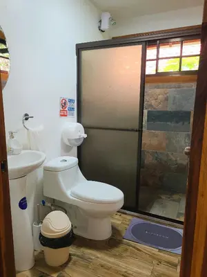 a bathroom with a shower and a toilet and a sink at Arenal Sweet Cabins in Fortuna