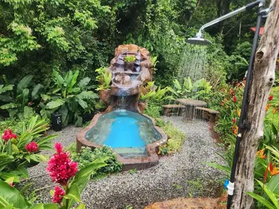 a fountain in the middle of a garden at Cabañas Caeli, El Congo, La Fortuna Rainforest Glass Cabin w Suite in Fortuna