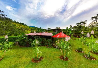 a house with a red umbrella and some plants at Cabañas Caeli, El Congo, La Fortuna Rainforest Glass Cabin w Suite in Fortuna
