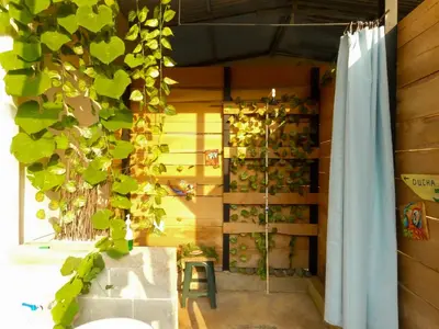 a room with a bunch of ivy on the wall at Kocorica in Parrita
