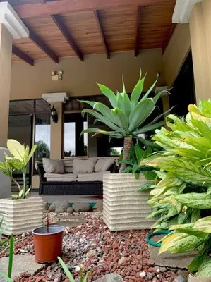 a patio with a couch and some plants at Luxury House near to Juan Sant. Airport, Alajuela. in Alajuela City