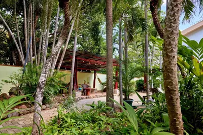 a person sitting under a pergola in a garden with palm trees at Casa Corona Del Mar Tamarindo in Tamarindo
