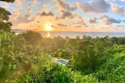 a sunset over the ocean from a jungle with trees at Cotinga Nest - King Bed, Ocean View in San Pedrillo