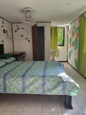 a bedroom with a large bed with a blue comforter at Downtown Montezuma Hostel in Montezuma