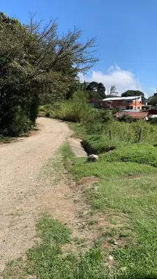 a dirt road next to a field of grass at Globi Lodge #6 in Monteverde Costa Rica
