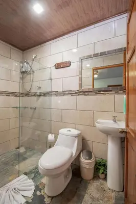 a bathroom with a toilet and a sink and a shower at Casa Oasis La Fortuna Private Pool AC & WiFi 100 mbps in San Francisco