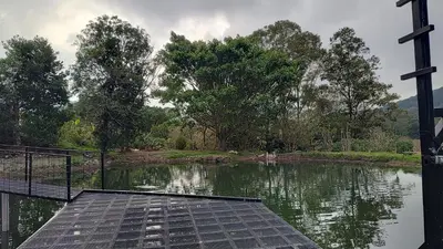 a view of a body of water with trees at Persea Inn & Restaurante Toro Careto in El Copey