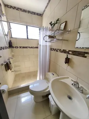 a white bathroom with a toilet and a sink at Hotel Boutique CasAguacate Apt Morfo close to Airport in Potrerillos