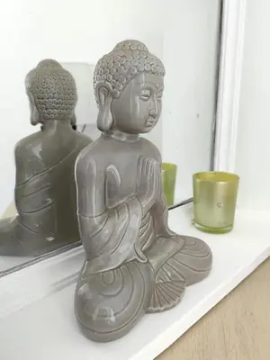 two statues sitting on a shelf in front of a mirror at Hotel Boutique CasAguacate Apt Morfo close to Airport in Potrerillos