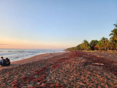 two people sitting on the beach at sunset at Tortuguero7 lake view in Tortuguero