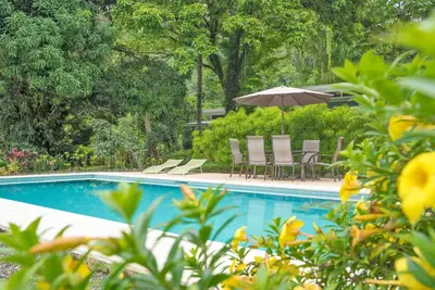 a swimming pool with chairs and an umbrella at Tree of Life Cabinas in Dominical